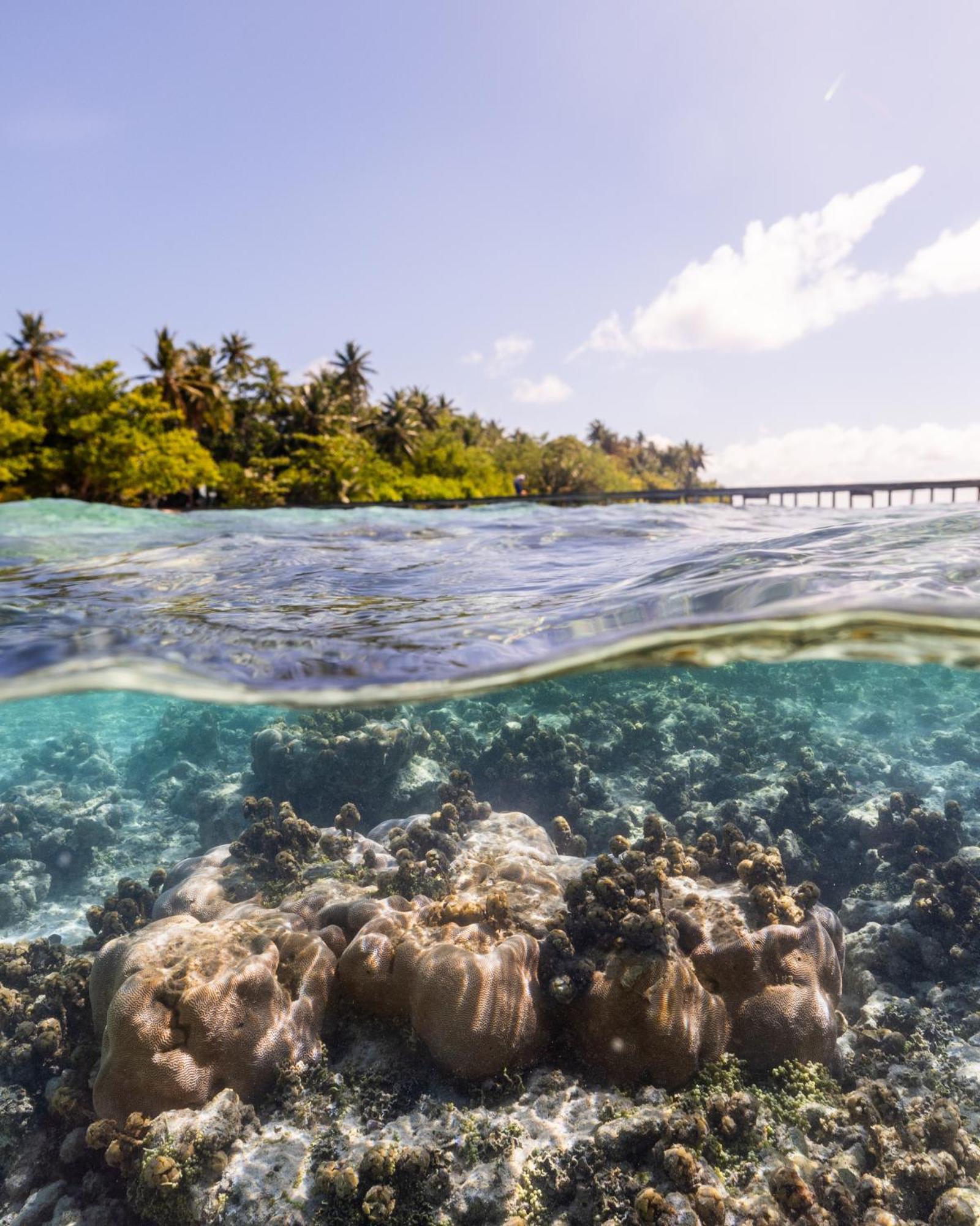 Omadhoo 马尔代夫奇鲁尔海雅旅馆酒店 外观 照片