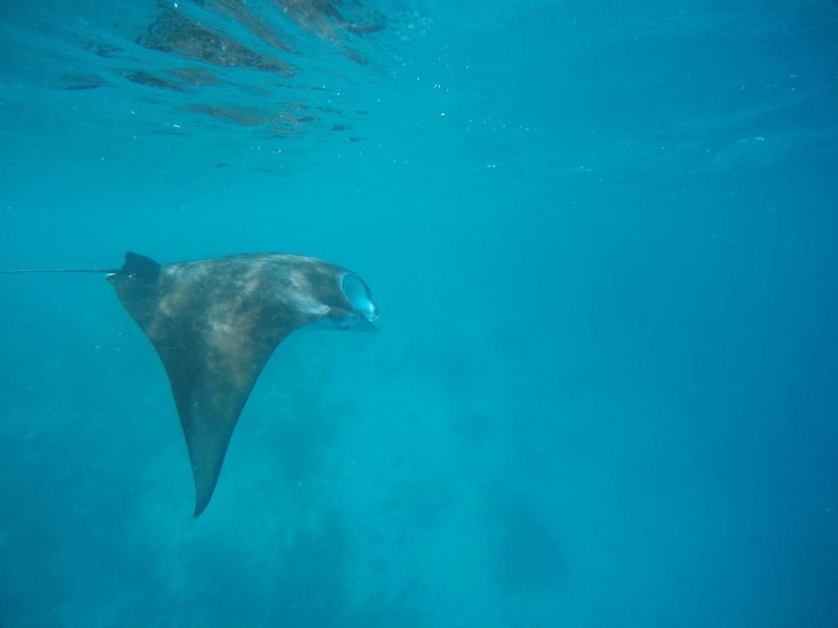 Omadhoo 马尔代夫奇鲁尔海雅旅馆酒店 外观 照片
